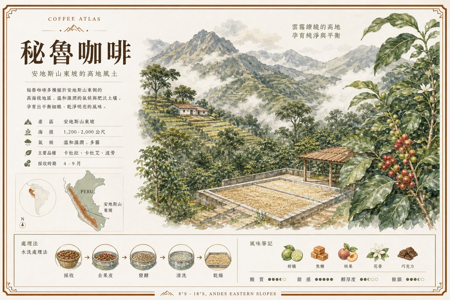 秘魯安第斯山東側坡地咖啡示意：遮蔭咖啡園與高地乾燥場