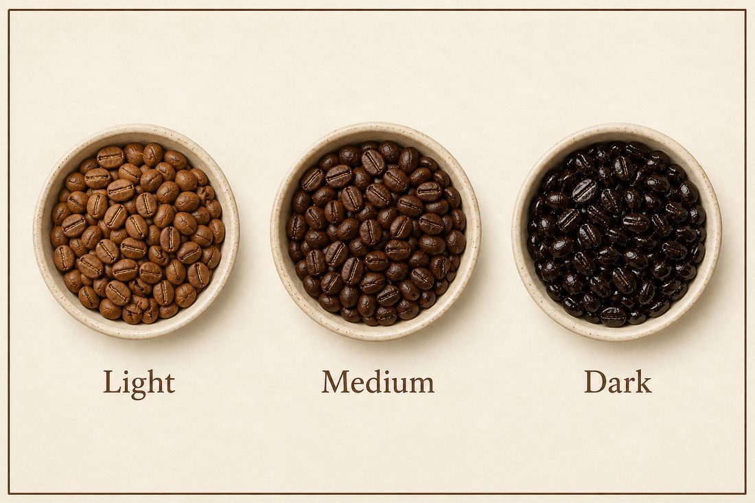 Light-, medium-, and dark-roasted coffee beans compared by color