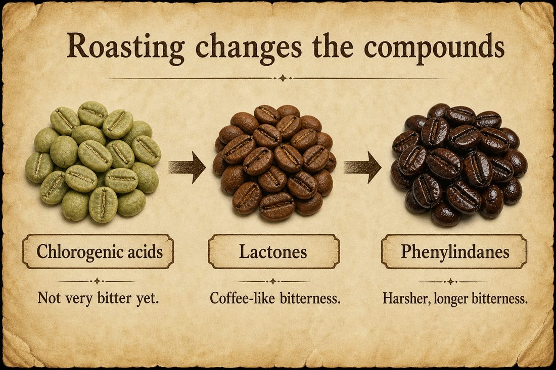 Chlorogenic acids in green coffee forming lactones during light-to-medium roasting and phenylindanes during deeper roasting
