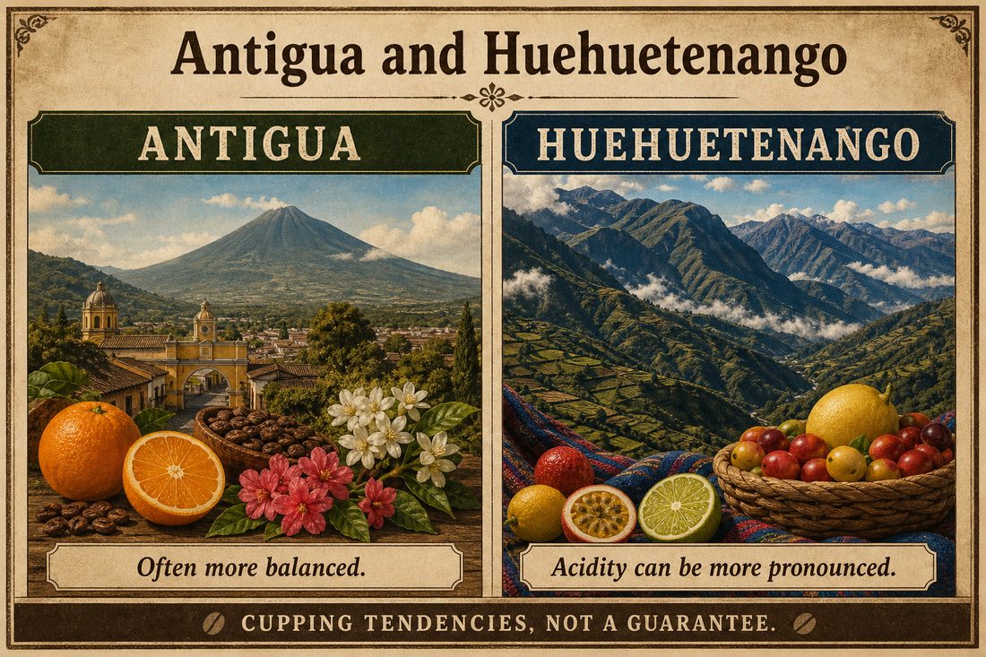 Balanced rounded impressions often associated with Antigua beside more pronounced acidity sometimes associated with Huehuetenango