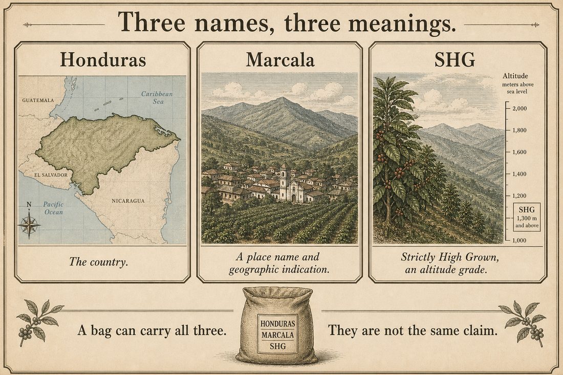 Honduras as a country name, Marcala as a place name, and SHG as an altitude grade