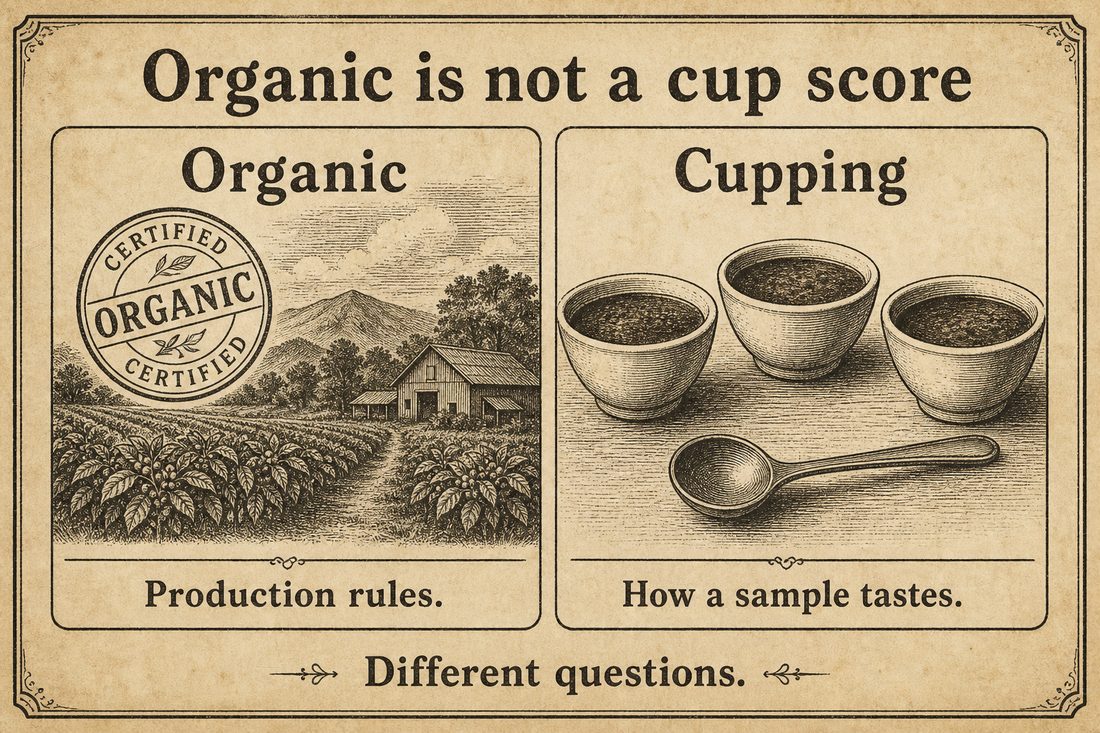 Organic certification representing production rules beside cupping representing sensory quality