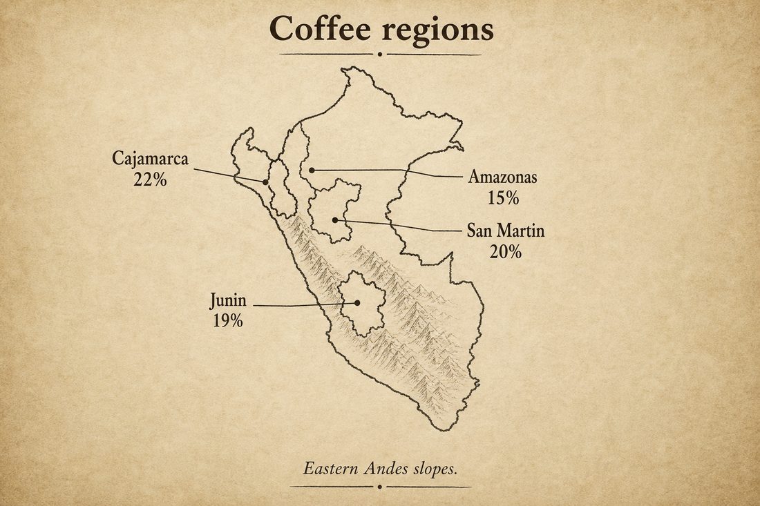 Relative locations of the major Peruvian coffee regions Cajamarca San Martín Junín and Amazonas