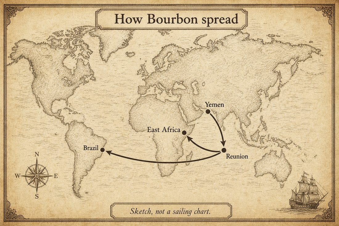 Bourbon coffee moving from Yemen to Réunion and later into Brazil and East Africa