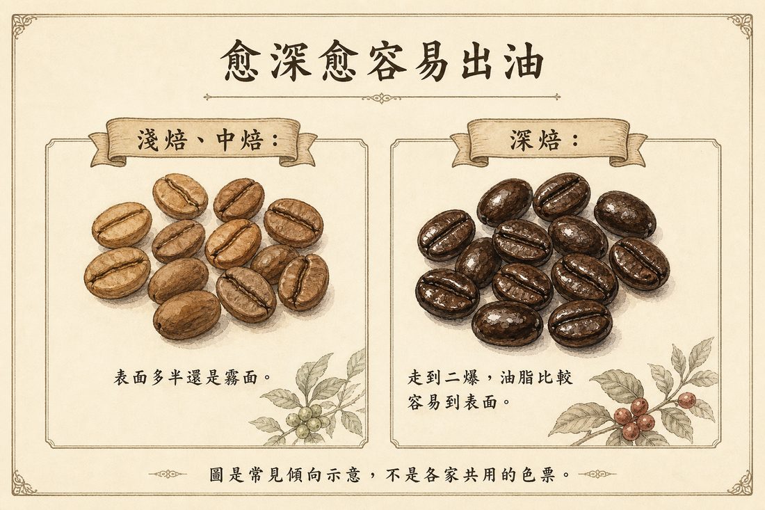淺焙中焙多半霧面、深焙走到二爆比較容易出油的示意