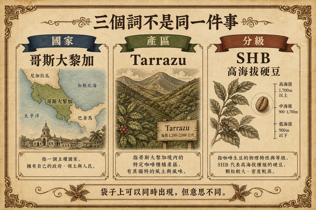 哥斯大黎加是國家名，Tarrazú 是產區名稱，SHB 是高海拔硬豆分級