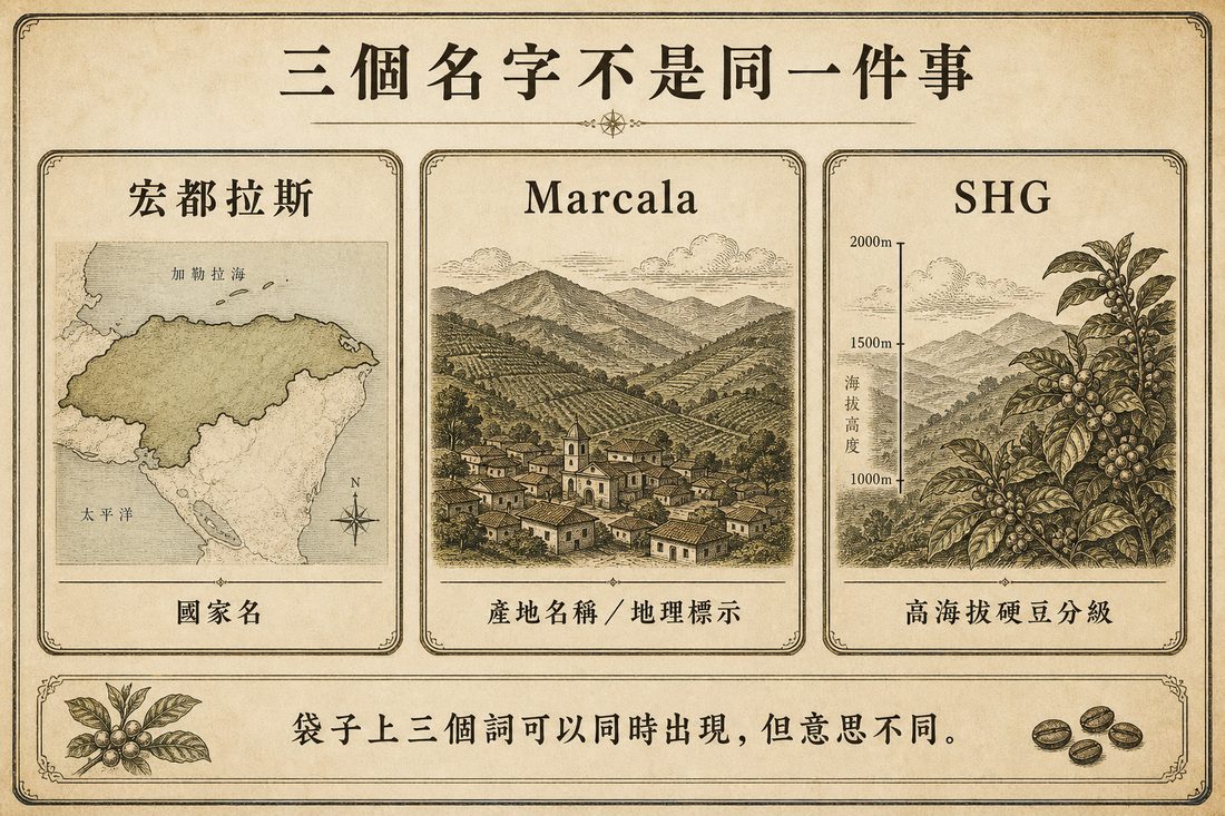 宏都拉斯是國家名，Marcala 是產地名稱，SHG 是高海拔分級