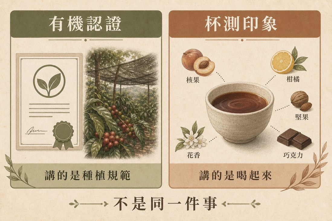 有機認證講種植規範，對上杯測印象講喝起來，兩者不是同一件事