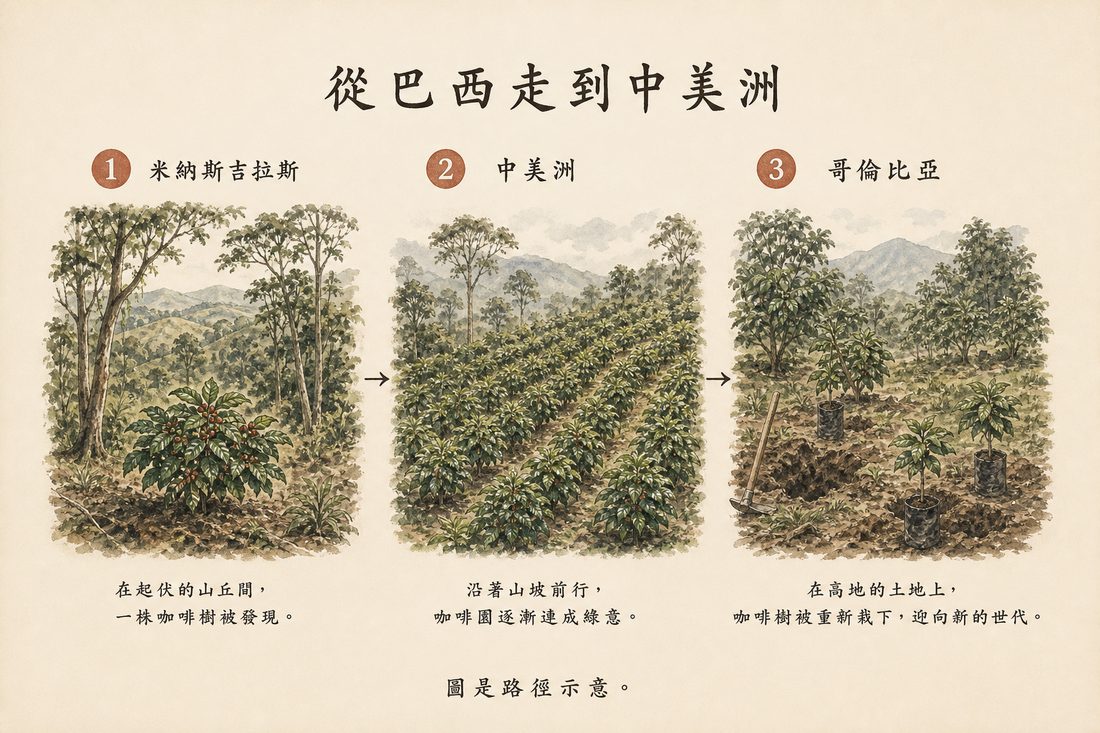 卡杜拉從巴西米納斯吉拉斯走到中美洲，再到哥倫比亞改種的路徑示意